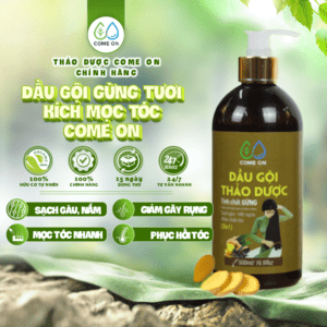Dầu Gội Tinh Chất Gừng Tươi